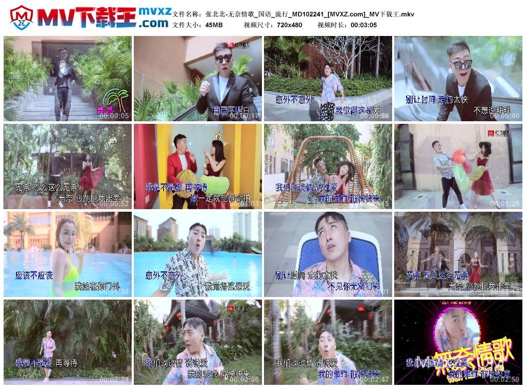 张北北-无奈情歌_国语_流行_MD102241